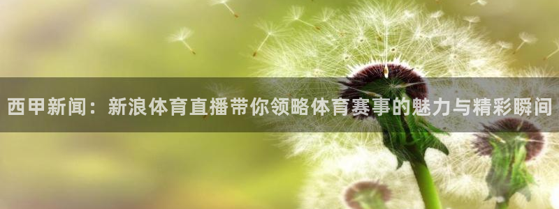 西甲新闻：新浪体育直播带你领略体育赛事的魅力与精彩瞬间