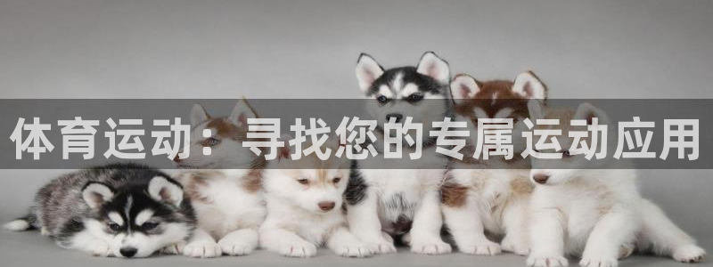 体育运动：寻找您的专属运动应用