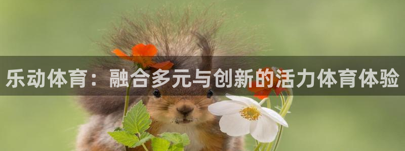 乐动体育：融合多元与创新的活力体育体验