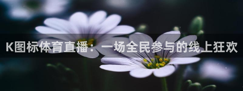 K图标体育直播：一场全民参与的线上狂欢