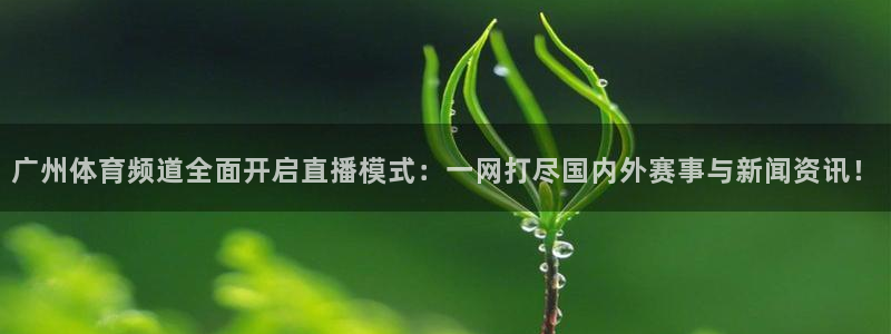 广州体育频道全面开启直播模式：一网打尽国内外赛事与新闻资讯！